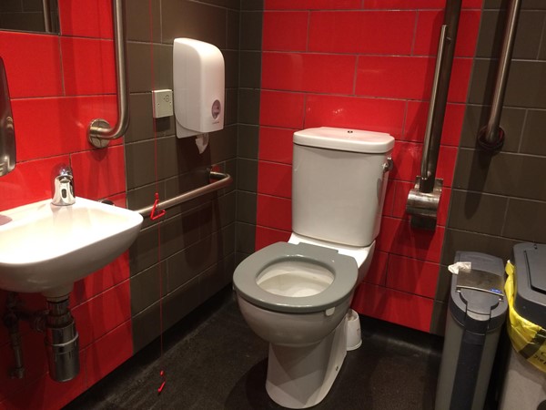 Accessible toilet