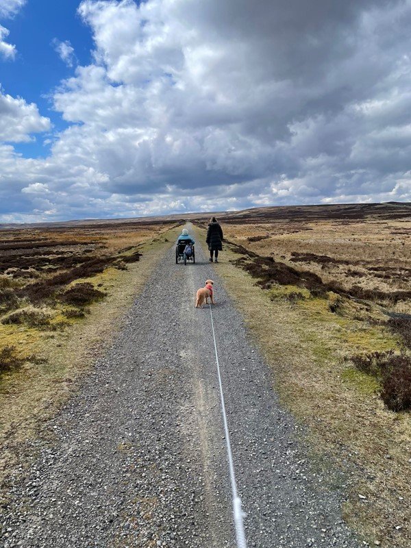 A person walking a dog on a dirt road