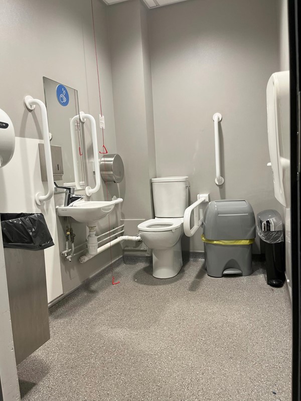 Image of the accessible toilet.