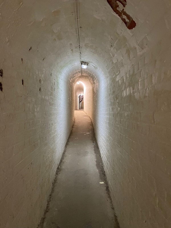 Picture of The Needles Old Battery and New Battery