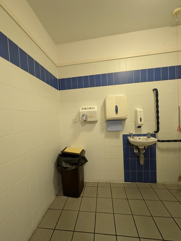 Image of a bin, sink, hand dryers and paper towel dispenser.