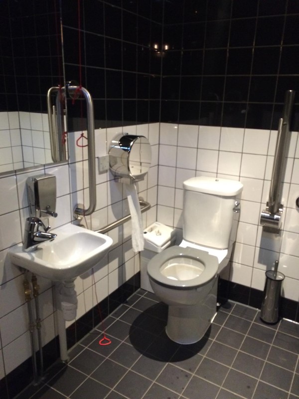 Photo of the accessible toilet.