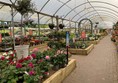 Image of a greenhouse with many plants