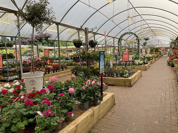 Image of a greenhouse with many plants