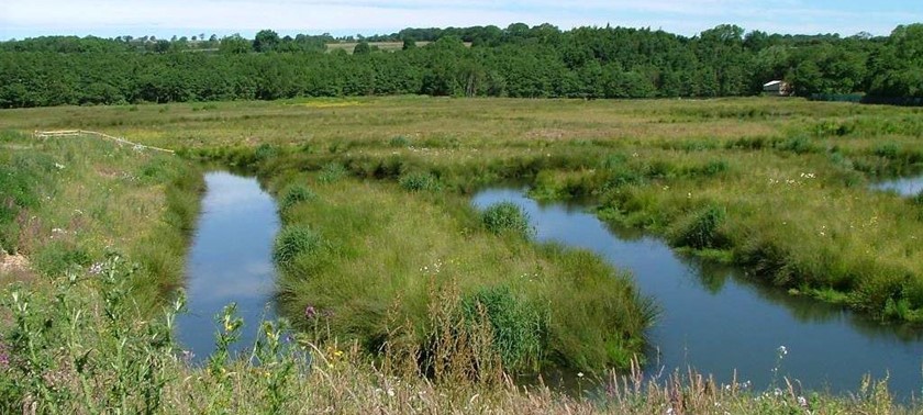 Low Barns Nature Reserve & Visitor Centre