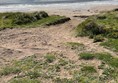 Image of a beach with grass growing through