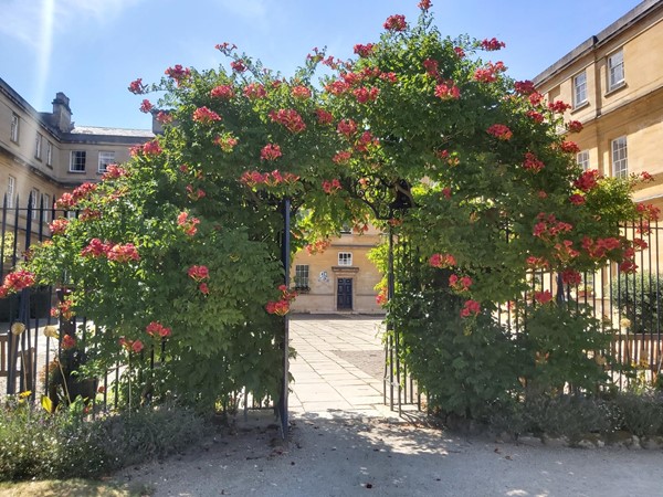 Flower arch