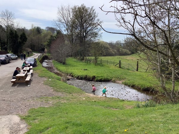 Picture of children in a pond with people watching from a picnic table