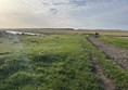 Image of a green field and path