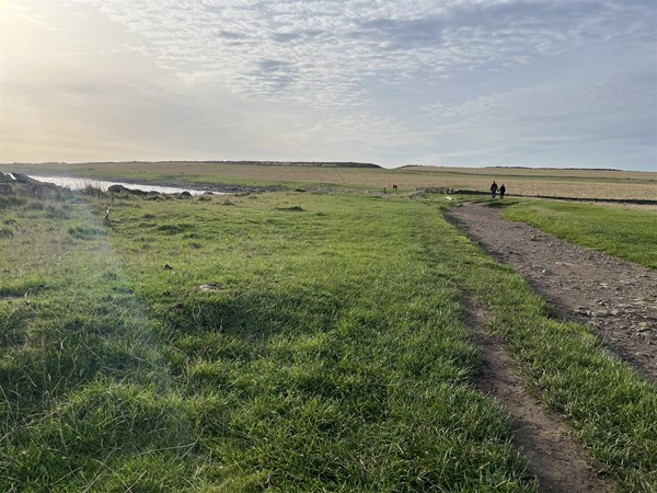 Image of a green field and path