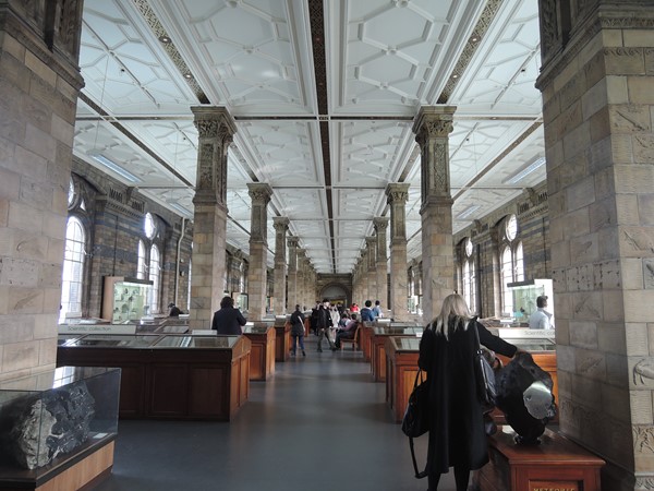 The Natural History Museum