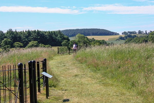 Grass path around the grounds with black fencing on the left.