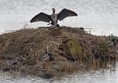 View from a hide on the blue walk.