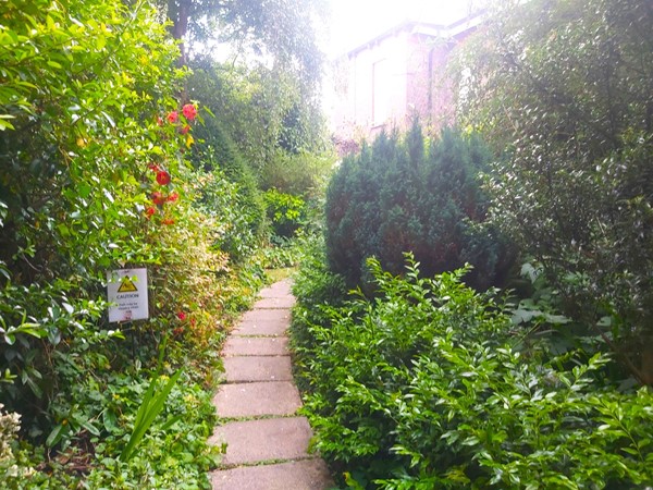 Image of a path through a garden