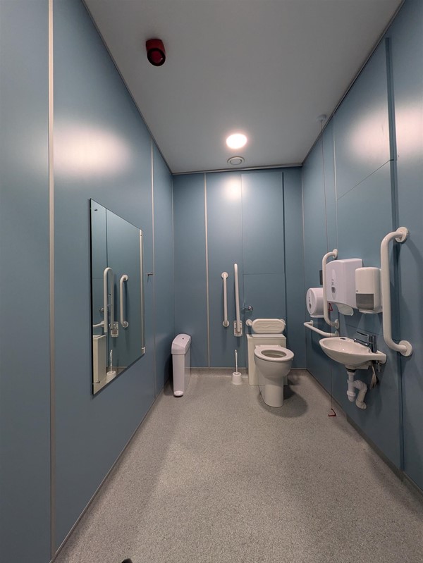 Image of the toilet and sink in the accessible toilet