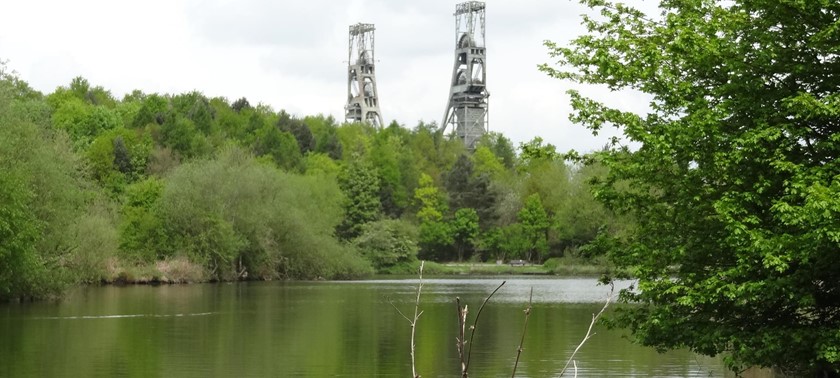 Vicar Water Country Park