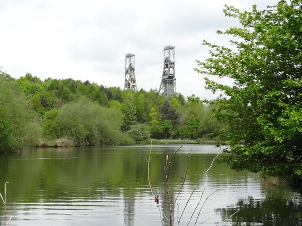 Picture of Vicar Water Country Park