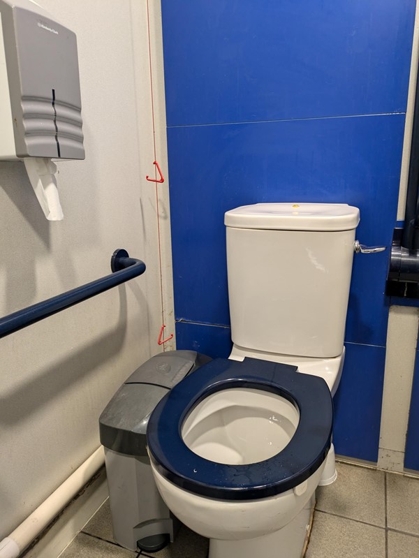 Image of a toilet against a contrasting blue wall, the seat also blue