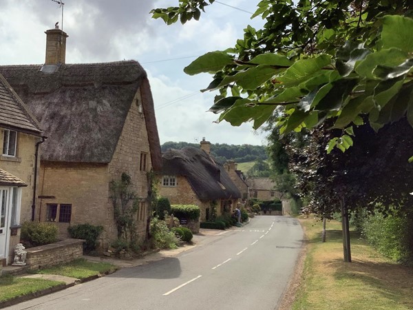 Image of a road with houses and trees