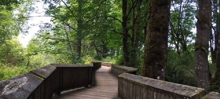 Billy Frank Jr. Nisqually National Wildlife Refuge