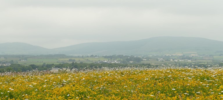 Culmore Country Park