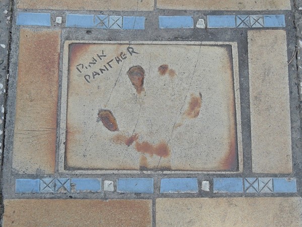 Pink Panther's Paw Prints