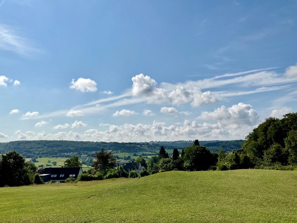 Image of a grassy field with trees and a house in the distance