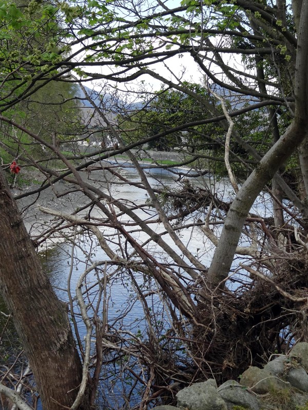 20' drop but the water still made it over and onto the cricket pitch.