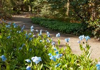 Disabled Access Day 2019 at Dawyck Botanic Garden