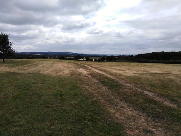 The Green burial site