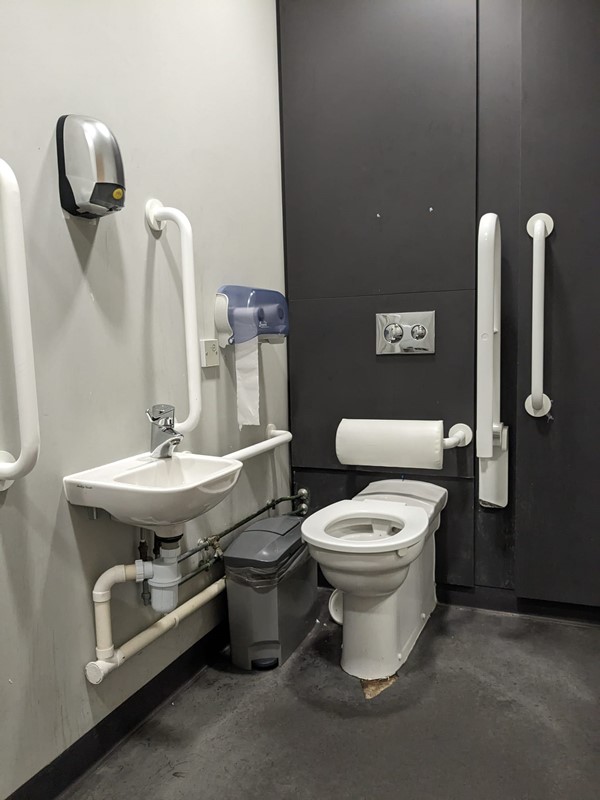 Picture of an accessible toilet with handrails