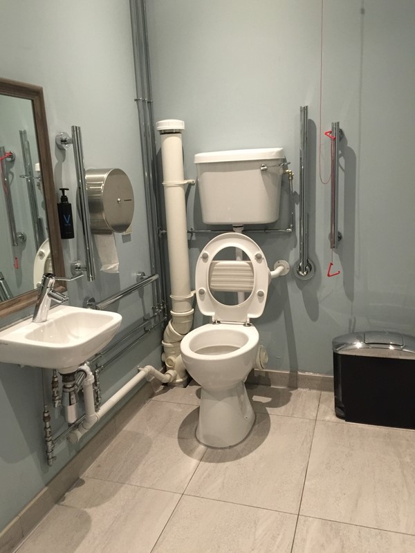 The public accessible toilet