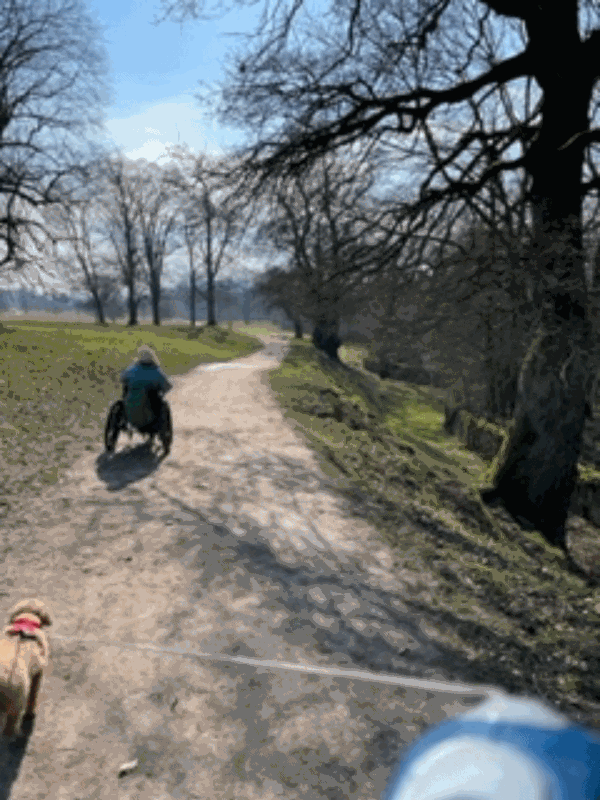 Picture of Derwent Valley Heritage Way, Baslow to Edensor