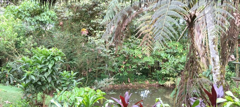 Huasquila Amazon Lodge