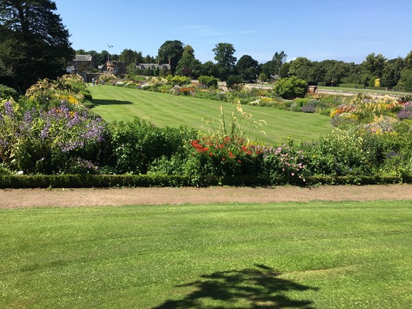 View looking over the gardens.