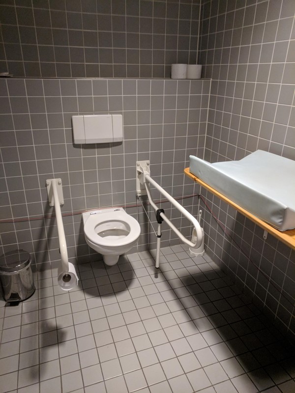 Photo of the accessible toilet.