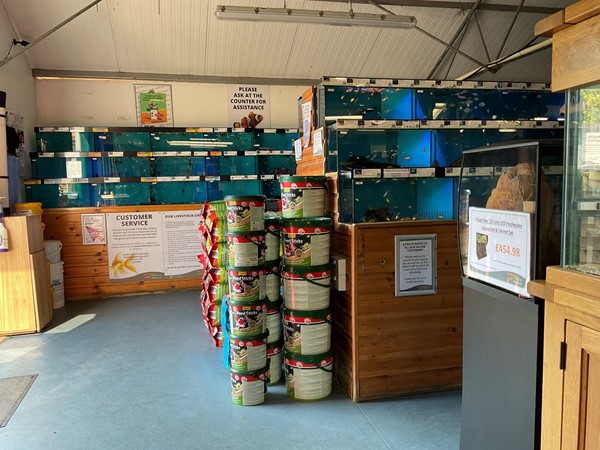 Image of a room with a variety of fish tanks