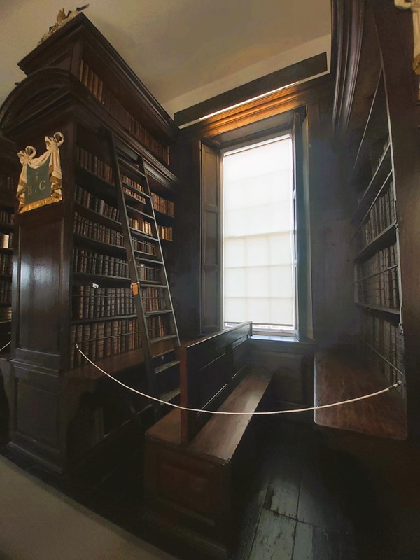 Image of a ladder in a library