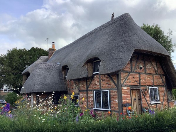 Thatched house