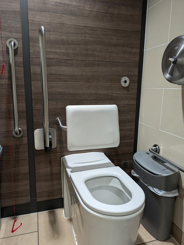 Image of the toilet seat in the accessible toilets