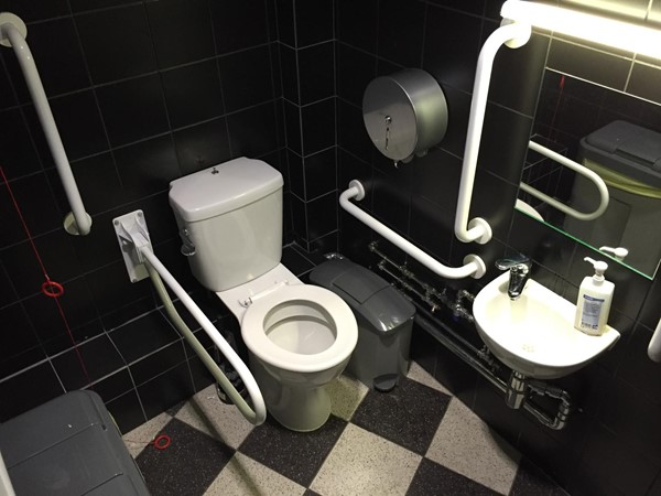 Picture of Ed's Easy Diner - Accessible Loo