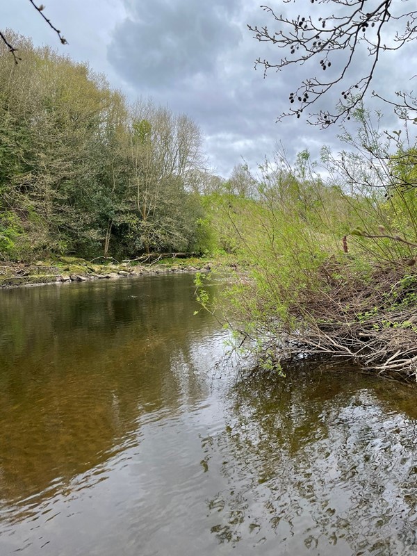 Image of Low Barns Nature Reserve