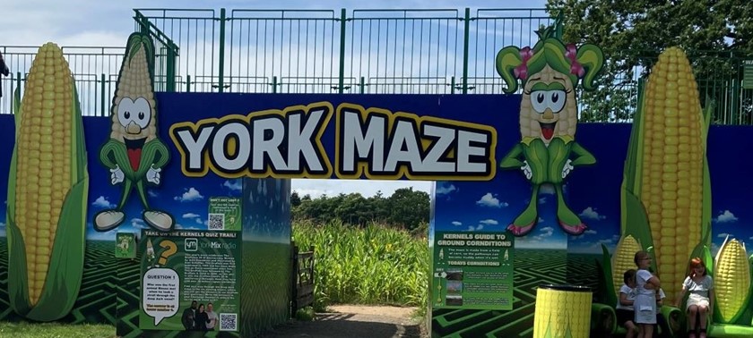 York Maze