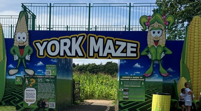 York Maze