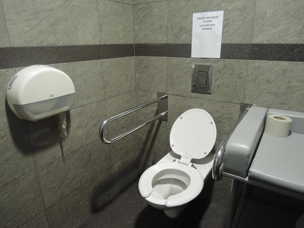 Accessible toilet