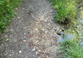 Pothole on the river side, nettles on the other.