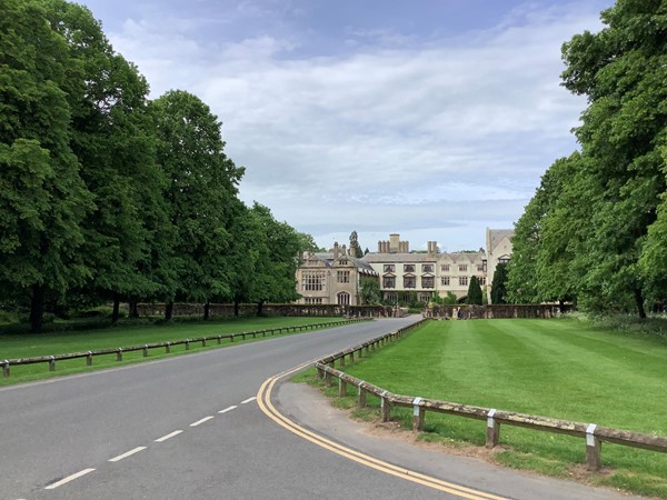 Picture of the road leading to the entrance of the hotel