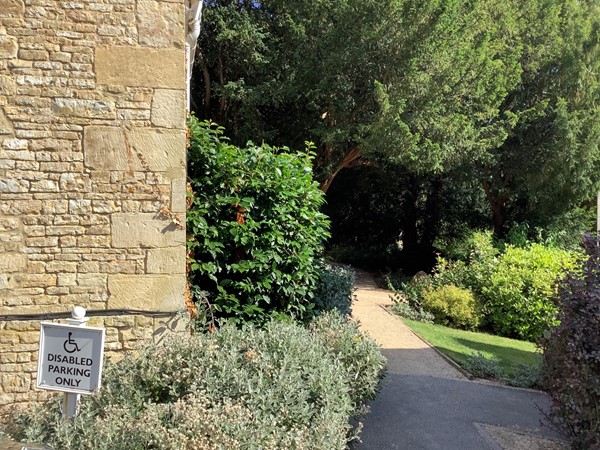 A path at the far end of garden