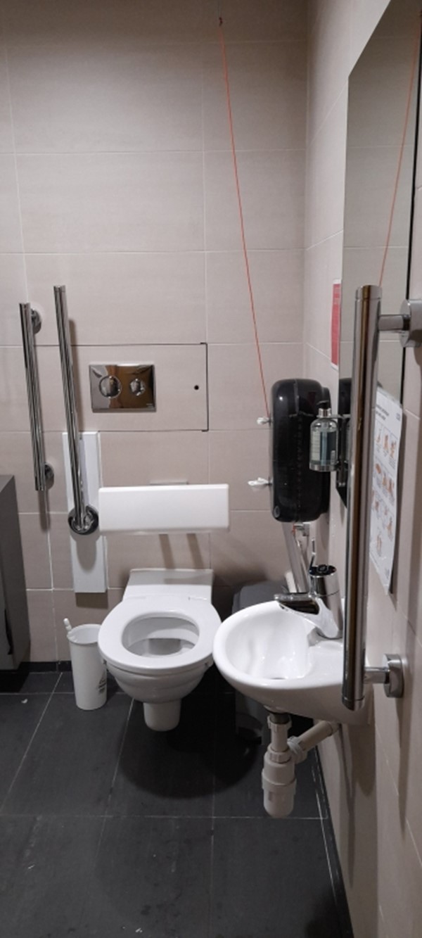 Accessible toilet