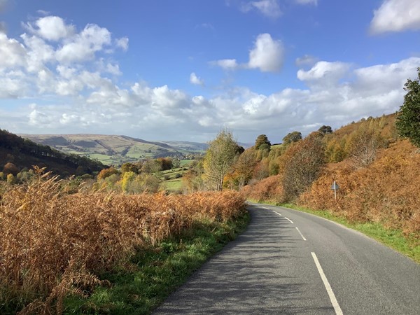 Road through countryside